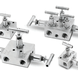 SM2V 2-Valve Manifold Valves